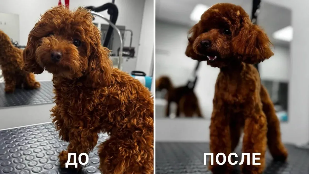 До и после комплексного ухода