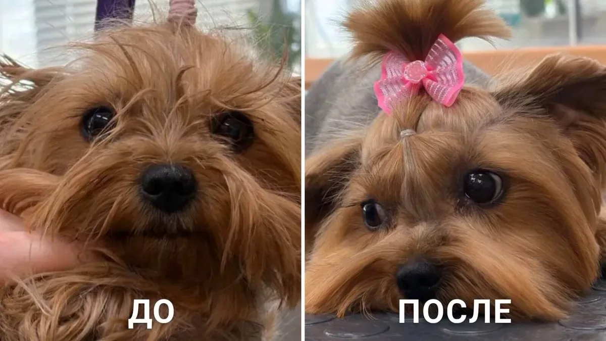 Результат работы мастера